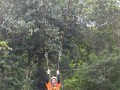 Tn DSC 4271